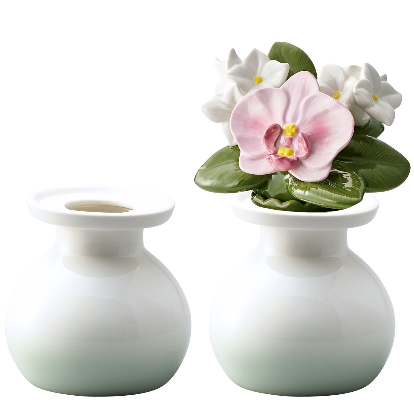 Amazon.co.jp: セトクラフト 花レンヌ 「100年 枯れない花hana 青磁
